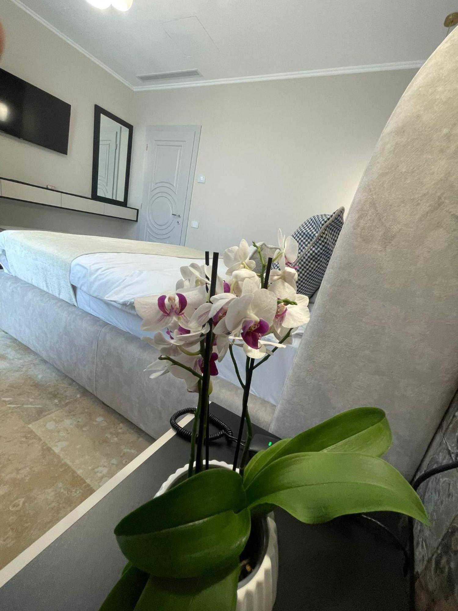 Boutique Hotel Bals 外观 照片